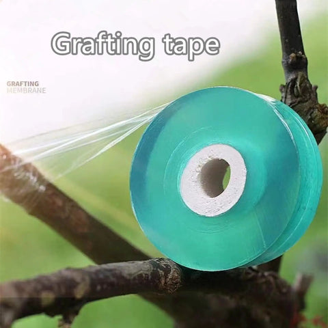 Roll of clear grafting tape on tree branch, part of Grafting Tool Kit For Garden Pruning And Budding Dope Replacement Blades Pro Grade Plant Branch Vine And Fruit Tree Cutting Tools Scissors For Citrus Apple Peach Persimmon And Other Fruit Or Flower Trees High Survival tool kit.