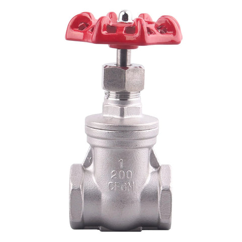 Gate valve, 2-inch stainless steel, red handwheel, front view