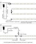 Wiring diagram for Under Cabinet LED Lighting Kit For Kitchens And Shelves With 6 x 12 Inch Rigid Light Strips, Plug In Dimmer, Adapter