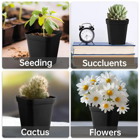 80 Pcs 4 Inch Nursery Pots With Drainage Holes Plastic Seed Starter Pots showing usage with seedlings, succulents, cactus, flowers