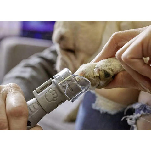 Chill Mode Electric Pet Nail Grinder With Variable Speed And Four Sanding Discs used on dog's paw for safe grooming.