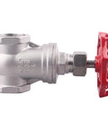 2-inch stainless steel gate valve with red wheel handle and female NPT x female connections, side view