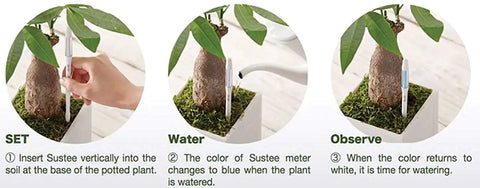 Sustee Aquameter 4 Pack Leave In Plant Soil Moisture Sensor For Pots White Medium Size Lets You Track Water Needs In The Soil For 3.5 To 6 Inch Pots Without Guessing, in potted plant soil