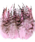 Natural Pheasant Feathers 50 Pcs For DIY Crafts, Fly Tying, Jewelry Making, Dreamcatchers, And Earrings, pink rooster saddle style