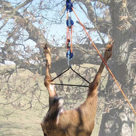 Deer hoisted with Self Locking Block and Tackle Hoist System With 35 Ft Polypropylene Rope, 300 Lb Capacity