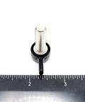 Hassle Free 5/16 Inch By 1 Inch T Bolt Screws Featuring Black Butterfly Wing Knob Corrosion Resistant 304 Stainless Steel Heavy Duty Thumb Screws Built Tough For No Sweat Installation shown with ruler for size reference.