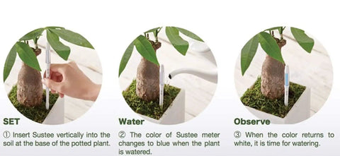 Sustee Aquameter Must Have Leave In Soil Moisture Meter Bundle Of Twelve Refillable Units For Indoor Potted Plants With Continuous Readings Perfect For Small Pots Two Inch Two And A Half Inch And Three Inch in small potted plant soil