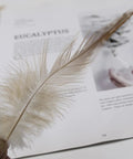 Close-up of 200 Pieces 5 To 7 Inch Nature Saddle Hackle Rooster Feathers for Crafts against a magazine backdrop