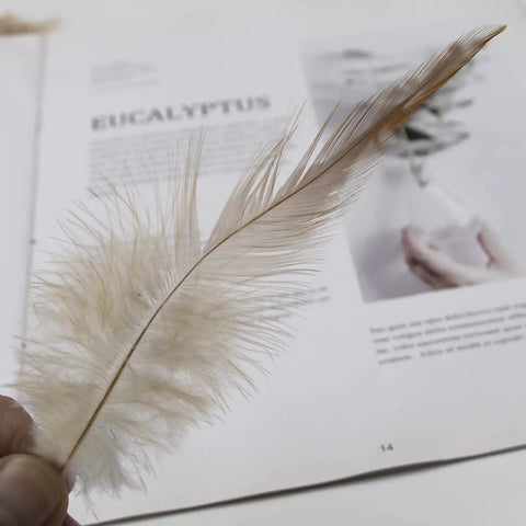 Close-up of 200 Pieces 5 To 7 Inch Nature Saddle Hackle Rooster Feathers for Crafts against a magazine backdrop