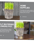 4 Pack Self Watering Flower Pots With Automatic Water Absorbing Design Easy Maintenance Planters For Healthy Plants Ideal Indoor Garden Pots For Home Office Or Apartment Decor, transparent plastic pot