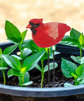 Simulated Bird Shaped Soil Moisture Sensor With Automatic Alarm Portable Plant Water Tester in potted plants
