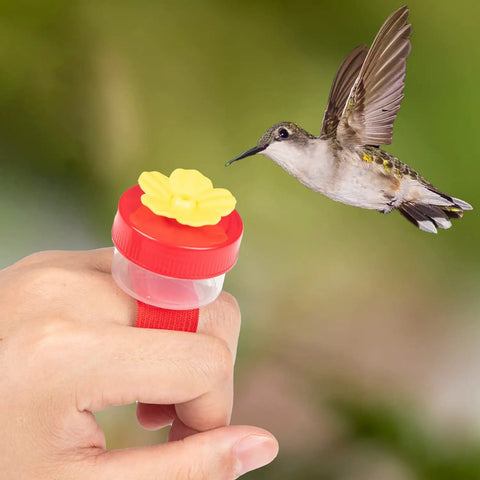 Grab And Go Four Piece Hummingbird Ring Feeder Kit in use, showing a hummingbird feeding from handheld feeder made of durable ABS plastic.