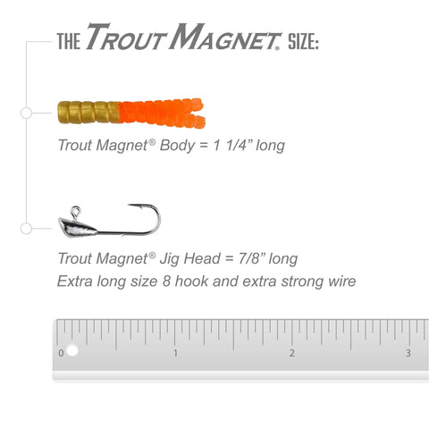 Size comparison of Trout Magnet body and jig head from the Neon 82 Piece Fishing Kit With Grub Bodies And Hooks For Freshwater Angling, All In One Tackle Set That Outfish Anything Catches Trout Panfish Bass Crappie And More, Includes 70 Grub Bodies And 12 Size 8 Hooks In Orange Green White Silver, shown with a ruler.