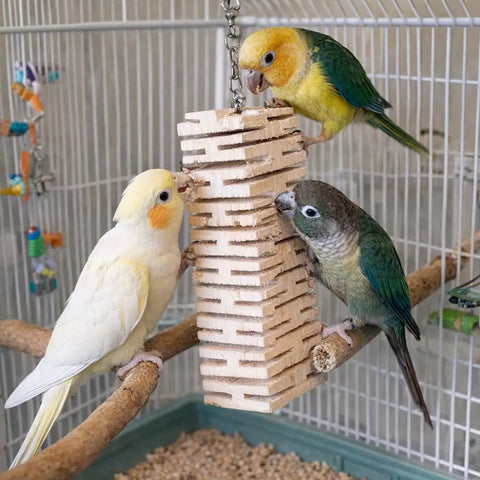 Safe Untreated Ultra Soft Balsa Wood Foraging Toy With Canyon Groove Design For Small Parrots with parakeets in cage