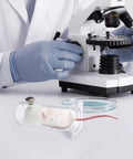Acrylic Mouse Restrainer With Adjustable Sliding Plugs For Keeping 15 To 35 Gram Rodents Locked In During Procedures With No Fuss And Rock Solid Lab Setup, shown with a microscope.