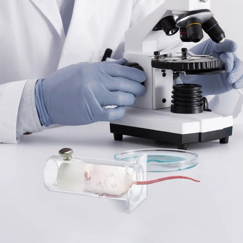 Acrylic Mouse Restrainer With Adjustable Sliding Plugs For Keeping 15 To 35 Gram Rodents Locked In During Procedures With No Fuss And Rock Solid Lab Setup, shown with a microscope.