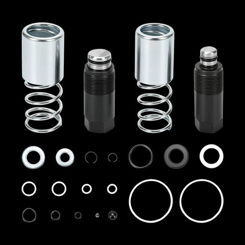 Floor Jack Replacement Parts Kit For 3 Ton Dual Pump Jacks With Piston Plunger Assemblies And Hydraulic Seal Kit components