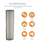 Two Pack Replacement Filters For TPP440 TPP540 And TPP640 Air Purifiers With H13 Filtration, showing filter and particle icons.
