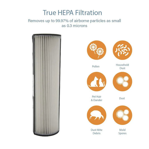 Two Pack Replacement Filters For TPP440 TPP540 And TPP640 Air Purifiers With H13 Filtration, showing filter and particle icons.