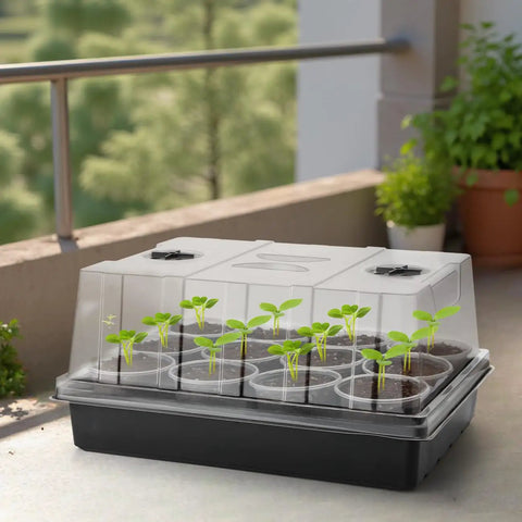 4 Pack Seed Starter Trays With 5 Inch Tall Humidity Domes For Strong Seedlings Reusable Germination Kit on balcony
