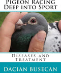 Cover of Deep Into Sport Pigeons Health Playbook For Racing Birds With Disease Treatments held by hand, featuring a pigeon