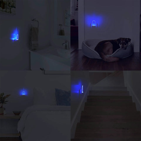 4 Pack Plug In Blue LED Night Lights With Dusk To Dawn Sensor in bathroom, bedroom, hallway, illuminating a pet bed softly.