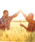 Two people high-fiving in a field, one holding a tool from the 5 Piece Ergonomic Mowing Sickle Set For Manual Reaping And Garden Harvesting