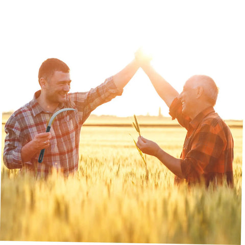 Two people high-fiving in a field, one holding a tool from the 5 Piece Ergonomic Mowing Sickle Set For Manual Reaping And Garden Harvesting
