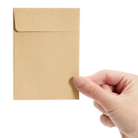 Person holding a brown seed packet, 4.5 by 3.25 inches, blank envelope for seeds, coins, keys, and tiny parts, DIY craft storage.