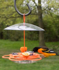 All In One Oriole Buffet Bird Feeder With Bee Guards And Removable Jelly Dishes Easy Cleaning Durable Orange Finish