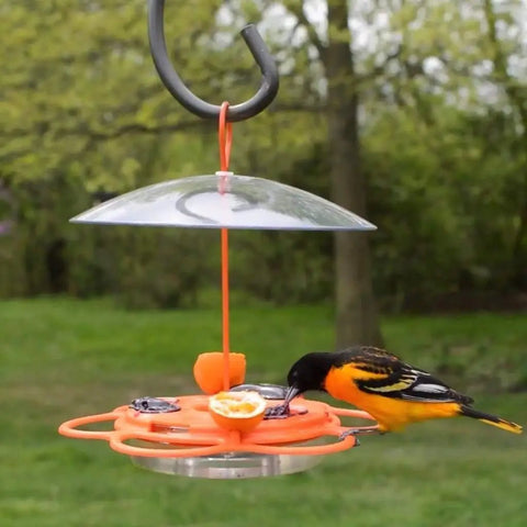 All In One Oriole Buffet Bird Feeder With Bee Guards And Removable Jelly Dishes Easy Cleaning Durable Orange Finish