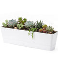 16 Inch Window Box Planter With Tray Lightweight Plastic Rectangular Pot For Balcony Or Windowsill Great For Herbs Succulents Cacti