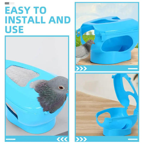 Sky-blue Pigeon Injection Holder Fixed Frame Rack for easy feeding and quick observation, with pigeon securely inside.