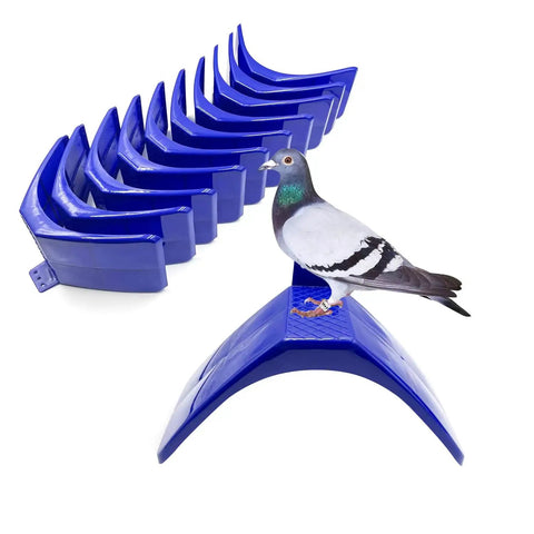 Lightweight Pigeon Perches 10 Pack For Loft Doves And Homers Easy Install Plastic Bird Rest Stands With Smooth Surfaces