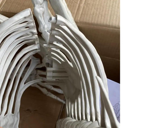 Close-up of 6.9 foot poseable life size skeleton with realistic white ribs for Halloween decor indoor outdoor spooky scene.