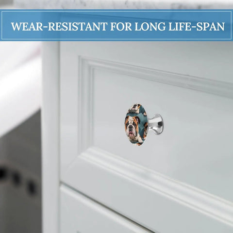 Funny English Bulldog Round Cabinet Knobs 2 Pack Stainless Steel Drawer Pulls installed on white kitchen cabinet