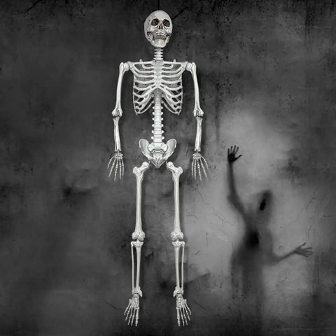 5.4Ft Life Size Halloween Skeleton With Movable Joints For Indoor Outdoor Setup Weather Resistant Full Body Prop in spooky scene