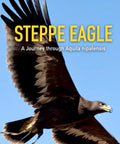 Steppe Eagle in flight, Steppe Eagle Falconry Field Guide For Bird Nerds A Practical Science Driven Handbook Covering Aquila Nipalensis