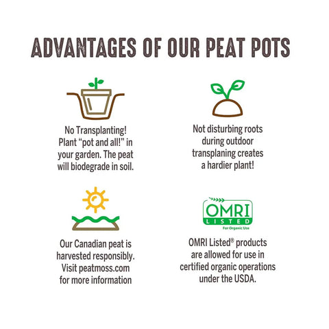 Text showing advantages of eco-friendly peat pots, highlighting biodegradable and OMRI certified Awesome Biodegradable 3-Inch Peat Pots.