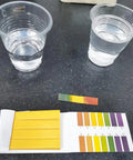 PH Test Strips 20 Pack for Urine Saliva Drinking Water Pool Spa Soap Fish Tank And Liquids With Quick Color Reference chart