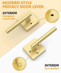 Gold Privacy Door Handle Set With Keyless Interior Button showing both exterior emergency unlock hole and interior turn button.
