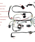 Stator Coil CDI Wiring Harness For 4 Stroke ATV KLX 50cc 70cc 110cc 125cc Quad No Fuss Plug And Play Electrical Harness Kit, components labeled.
