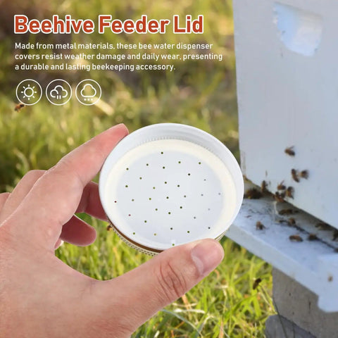 Hand holding Eight Pack Mason Jar Bee Feeder Lids with Perforated Metal Entrance, shown near a beehive entrance.