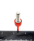 Badass 3/8 X 1 T Bolts With Butterfly Clamping Knobs Solid 304 Stainless Steel Thumb Screws with red handle and measuring ruler.