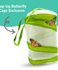 Live Painted Lady Caterpillars To Butterflies Kit With Five Caterpillars And Mesh Cage Watch Metamorphosis In Real Time Family Science Fun For Kids And Curious Minds pop-up mesh butterfly cage enclosure