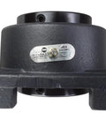 Front view of Moline 3-inch Type-E four-bolt flange bearing in black cast-iron housing.