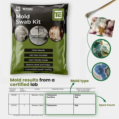 Mold Test Kit With Lab Fees Included No Surprises For Home Use Detects 20 Plus Mold Types And Pollen Easy To Follow Guide
