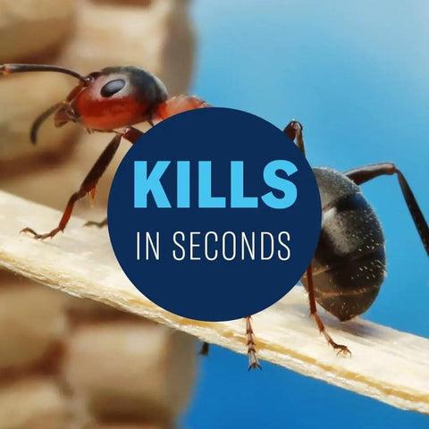 Close-up of an ant with 'Kills in Seconds' text, illustrating the effectiveness of All Purpose Bug And Germ Killer Insect Spray 1 Gallon For Indoor Use Keeps Bugs Gone Fast With Up To 12 Months Of Indoor Protection Against Ants Roaches Spiders Gnats Moths Crickets And More.