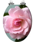 Elongated Toilet Seat for Bathroom featuring a pink rose design, 18.5 inches long, with adjustable hinges.