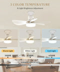 Compact 20.5 Inch Ceiling Fan With Built In Light And Wireless Remote showcasing light color adjustments at 3000K, 4500K, 6500K.